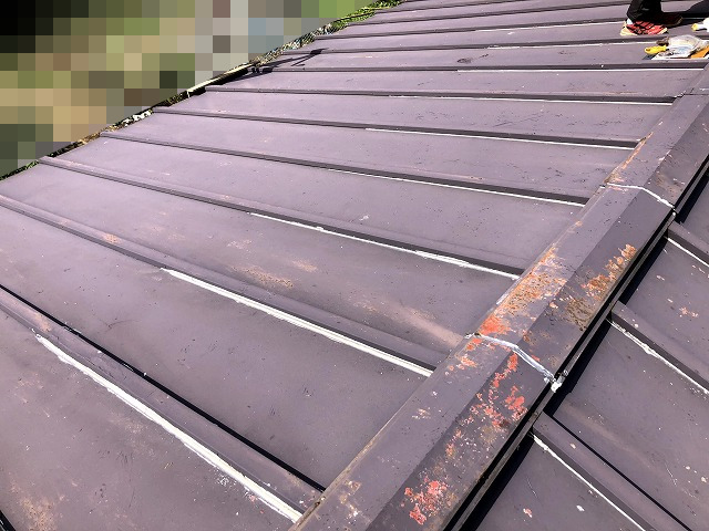 トタン屋根DIY塗装で最も重要なケレン作業とは？