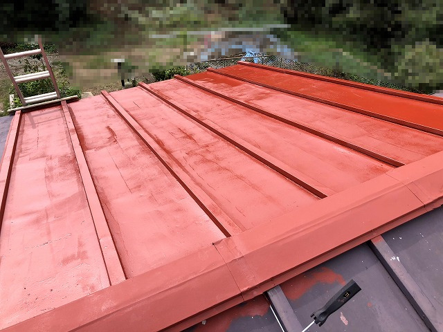 トタン屋根DIY塗装 洗浄